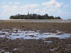 Coral rubble-strewn section of the NW Reef Flat at low tide, looking northward toward the Sand Cay.